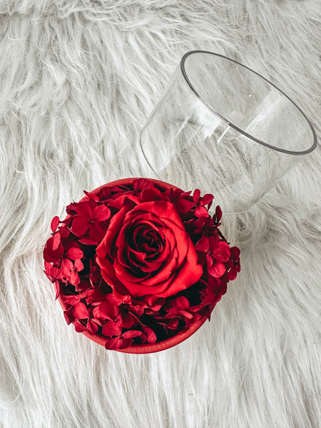 Christmas Flower Mini Dome