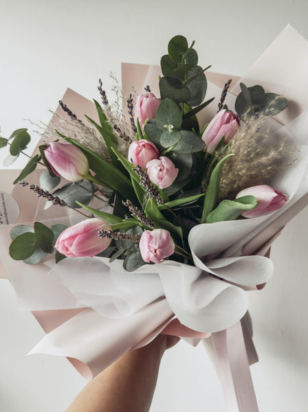 Cherish- Pink Tulips